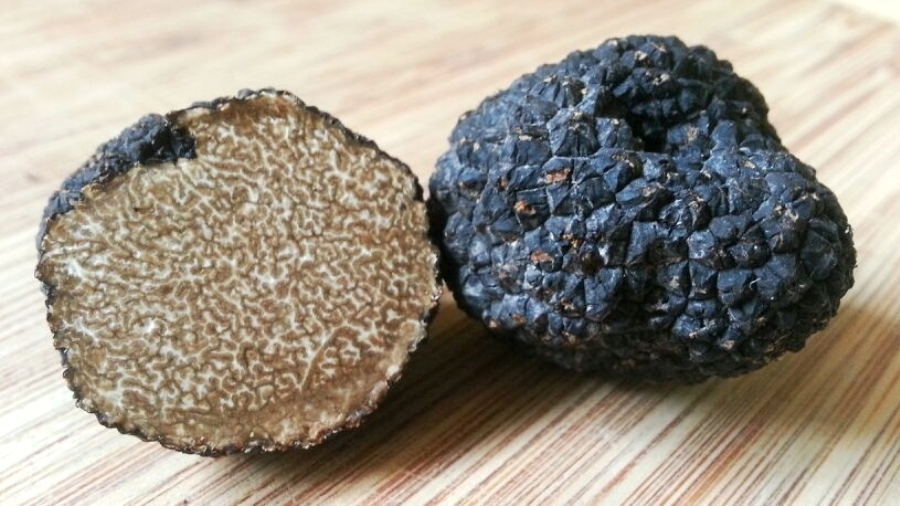 Summer Black Truffle Taste Istria